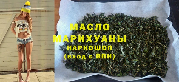 индика Нягань