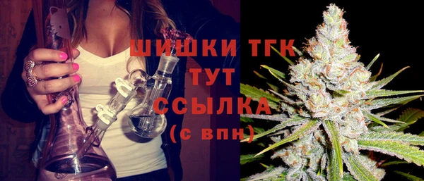 сатива Алзамай