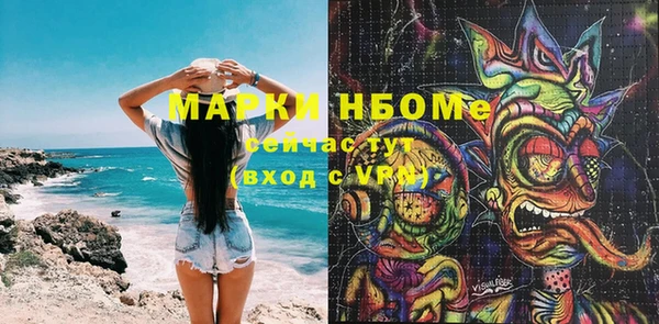 сатива Алзамай