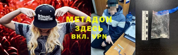 сатива Алзамай