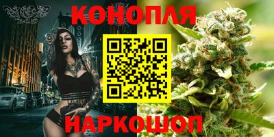 ешки Кингисепп