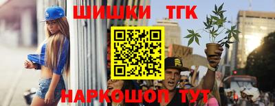 ешки Кингисепп