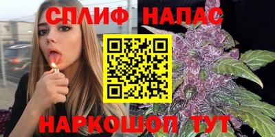 Альфа ПВП Кимры