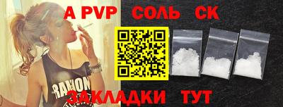 ешки Кингисепп