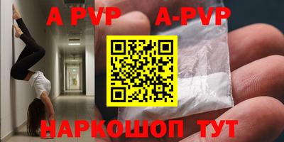 ешки Кингисепп