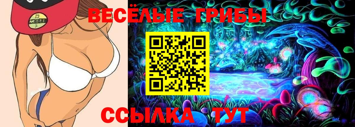 Псилоцибиновые грибы мухоморы  Вход с VPN  Сосновый Бор 