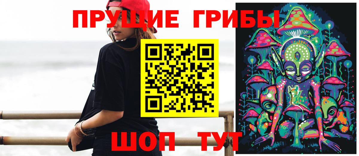 Псилоцибиновые грибы Cubensis Сосновый Бор